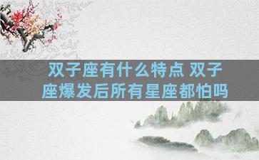 双子座有什么特点 双子座爆发后所有星座都怕吗